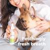 imageOxyfresh Advanced Pet Dental Spray  Instant Dog and Cat Fresh Breath Easiest No Brushing Pet Dental Solution for Dogs and Cats  Best Way to Fight Plaque Keep Teeth ampamp Gums Healthy 8ozTop Seller 8oz