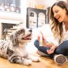 imageOxyfresh Advanced Pet Dental Spray  Instant Dog and Cat Fresh Breath Easiest No Brushing Pet Dental Solution for Dogs and Cats  Best Way to Fight Plaque Keep Teeth ampamp Gums Healthy 8ozTop Seller 8oz