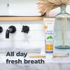 imageOxyfresh Cavity Protection Fresh Mint Fluoride Toothpaste  Low Abrasion Anticavity Toothpaste for Sensitive Teeth ampamp Gums  AllDay Fresh Breath 35 oz TubesTop Seller