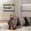 imageOxyfresh Dog Dental Chew Toy  Best Durable Rubber Dog Toy ampamp Puppy Teething Toy  Helps Remove Plaque Cleans Teeth ampamp Freshens Breath Without Brushing SmallSmall Pack of 2