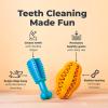 imageOxyfresh Dog Dental Chew Toy  Best Durable Rubber Dog Toy ampamp Puppy Teething Toy  Helps Remove Plaque Cleans Teeth ampamp Freshens Breath Without Brushing SmallSmall Pack of 2