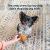 imageOxyfresh Dog Dental Chew Toy  Best Durable Rubber Dog Toy ampamp Puppy Teething Toy  Helps Remove Plaque Cleans Teeth ampamp Freshens Breath Without Brushing SmallSmall