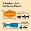 imageOxyfresh Dog Dental Chew Toy  Best Durable Rubber Dog Toy ampamp Puppy Teething Toy  Helps Remove Plaque Cleans Teeth ampamp Freshens Breath Without Brushing SmallSmall