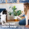imageOxyfresh Extra Strength Pet Odor Eliminator Spray  Goodbye to Stinky Odors  No Fragrance No Harsh Chemicals  Odor Eliminator Works on Contact  Home Upholstery ampamp Auto  Safe ampamp Pet Parents Love It