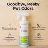 imageOxyfresh Extra Strength Pet Odor Eliminator Spray  Goodbye to Stinky Odors  No Fragrance No Harsh Chemicals  Odor Eliminator Works on Contact  Home Upholstery ampamp Auto  Safe ampamp Pet Parents Love It