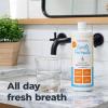 imageOxyfresh Gentle Formula Unflavored Mouthwash  Perfect for Ultra Sensitive Gums ampamp Teeth  No Mint Zero Alcohol Flavor Free  Fresh Breath 16 oz