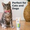 imageOxyfresh Premium Dog ampamp Cat Dental Gel Toothpaste  Best Teeth Cleaning Gel Helps Fight Plaque Tartar and Freshen Bad Dog ampamp Cat Breath  Best Pet Dental Care Toothpaste  4oz