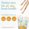 imageOxyfresh Premium Fresh Breath Lemon Mint Mouthwash 16 oz  Bad Breath Lemon Mint Toothpaste 5oz  Fluoride Free  Alcohol Free  Dye Free  Made wZinc ampamp Xylitol