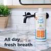 imageOxyfresh Premium Lemon Mint Fresh Breath Mouthwash  Oral Rinse for Bad Breath  SLS ampamp Fluoride Free Mouthrinse  Alcohol Free Gentle Non Burning Mouthwash with Xylitol ampamp Essential Oils 3 Pack 16 oz16 Fl Oz Pack of 3