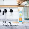 imageOxyfresh Premium Maximum Fresh Breath Lemon Mint Toothpaste  Clean Teeth ampamp Fresh Breath  Natural Essential Oils ampamp Natural Xylitol to Help Fight Tartar  SLS ampamp Fluoride Free 35oz5 Ounce Pack of 1