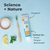 imageOxyfresh Premium Maximum Fresh Breath Lemon Mint Toothpaste  Clean Teeth ampamp Fresh Breath  Natural Essential Oils ampamp Natural Xylitol to Help Fight Tartar  SLS ampamp Fluoride Free 35oz5 Ounce Pack of 3