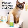 imageOxyfresh Premium Pet Dental Care Solution Pet Water Additive Best Way to Eliminate Bad Dog Breath and Cat Bad Breath  Fights Tartar ampamp Plaque  So Easy Just Add to Water Vet Recommended 16 ozTop Seller 16 Fl oz