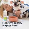 imageOxyfresh Premium Pet Dental Care Solution Pet Water Additive Best Way to Eliminate Bad Dog Breath and Cat Bad Breath  Fights Tartar ampamp Plaque  So Easy Just Add to Water Vet Recommended 16 ozTop Seller 16 Fl oz