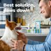 imageOxyfresh Premium Pet Dental Kit for Dogs ampamp Cats  Easy Solution for Dog and Cat Fresh Breath Clean Teeth Control Plaque ampamp Tartar  Vet Formulated Pet Toothpaste 4oz  Water Additive 16oz KitLarge Kit
