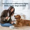 imageOxyfresh Premium Pet Dental Kit for Dogs ampamp Cats  Easy Solution for Dog and Cat Fresh Breath Clean Teeth Control Plaque ampamp Tartar  Vet Formulated Pet Toothpaste 4oz  Water Additive 16oz KitSmall Kit