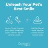 imageOxyfresh Premium Pet Dental Kit for Dogs ampamp Cats  Easy Solution for Dog and Cat Fresh Breath Clean Teeth Control Plaque ampamp Tartar  Vet Formulated Pet Toothpaste 4oz  Water Additive 16oz KitLarge Kit