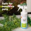 imageOxyfresh Premium Terrarium Cleaner  Professional Amphibian and Reptile Terrarium Smell Eliminator  Safe ampamp Quickly Removes Waste ampamp Odors  Streak Free Glass  Bleach Free
