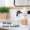 imageOxyfresh Pro Formula Fresh Mint Mouthwash  Patented Zinc Mouthrinse for Fresh Breath ampamp Soothing Gums  Dye Free Fluoride Free Alcohol Free Mouthwash  3 Bottles 16 oz eaFresh Mint w Zinc